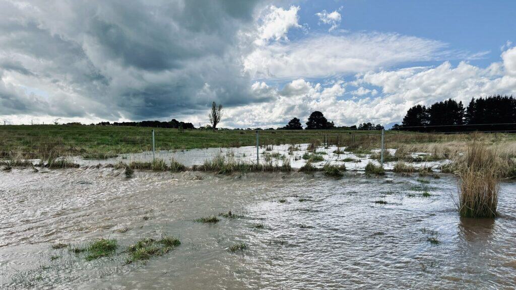 Silverholme creek in flood - Homesteading Challenges