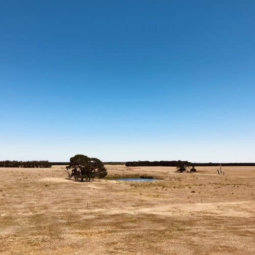 Silverholme landscape during dry year - homesteading challenges