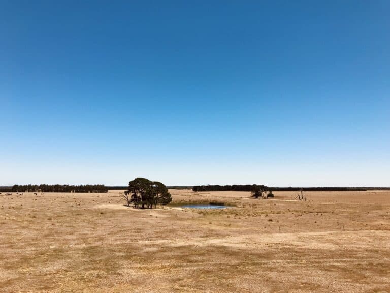 Silverholme landscape during dry year - homesteading challenges