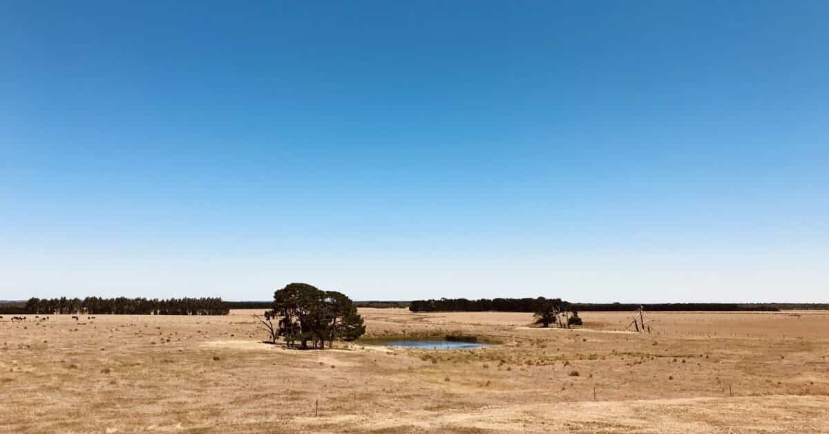 Silverholme landscape during dry year - homesteading challenges