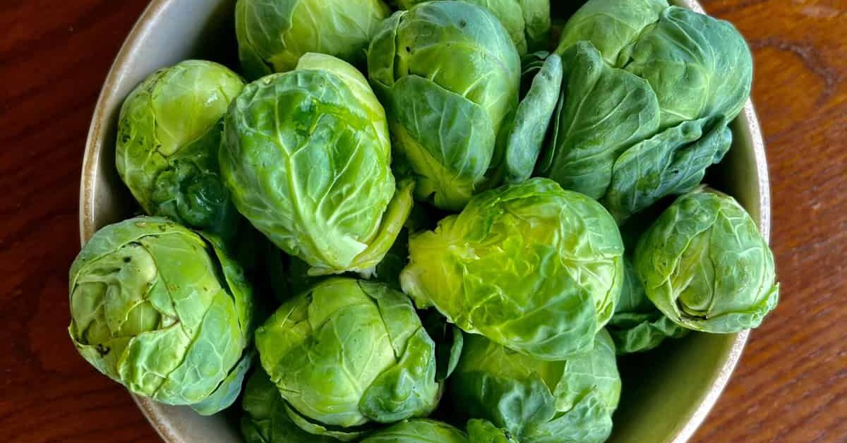 How to Grow Brussels sprouts