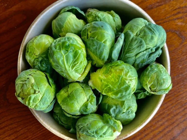 How to Grow Brussels sprouts