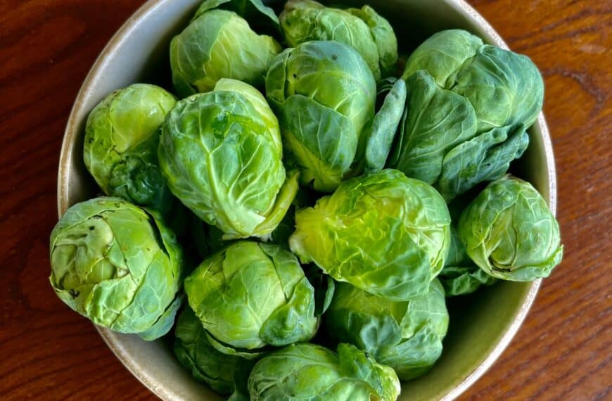 How to Grow Brussels sprouts