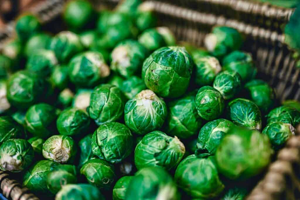 How to Grow Brussels sprouts